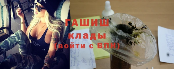 крисы Алзамай