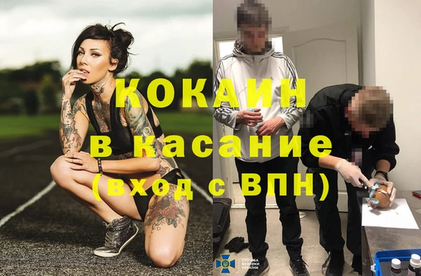 крисы Алзамай